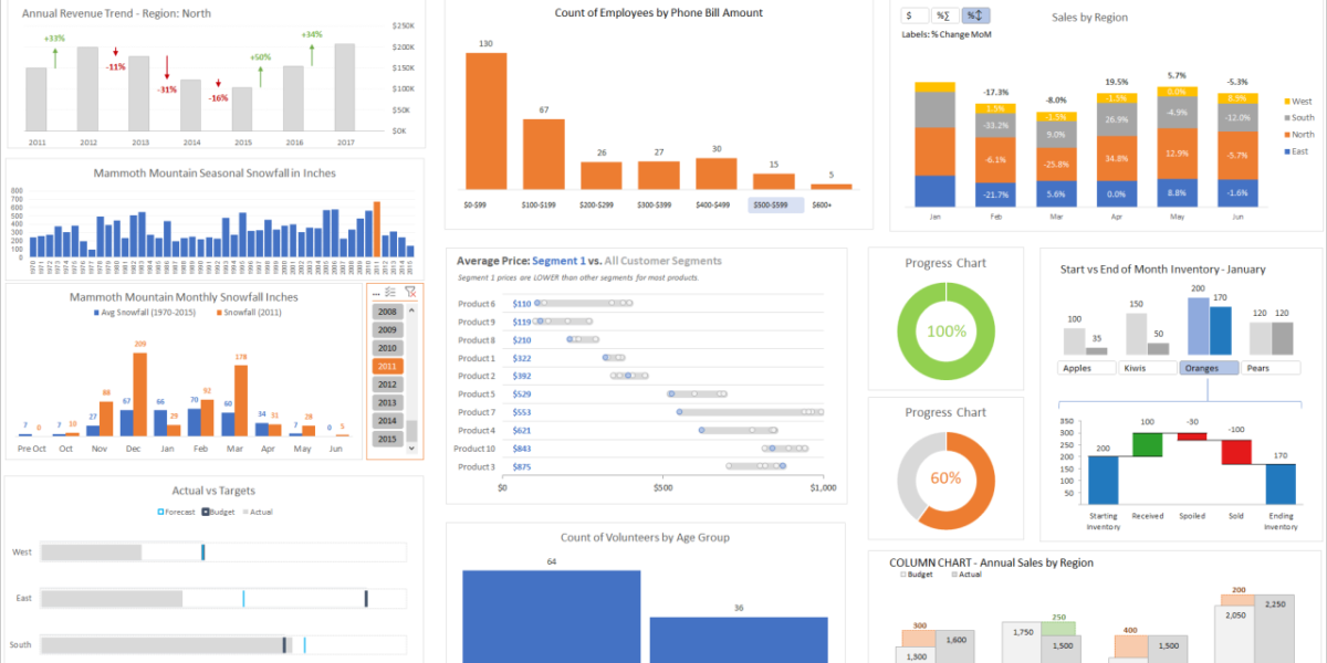 Microsoft Excel: Advanced Chart Customization