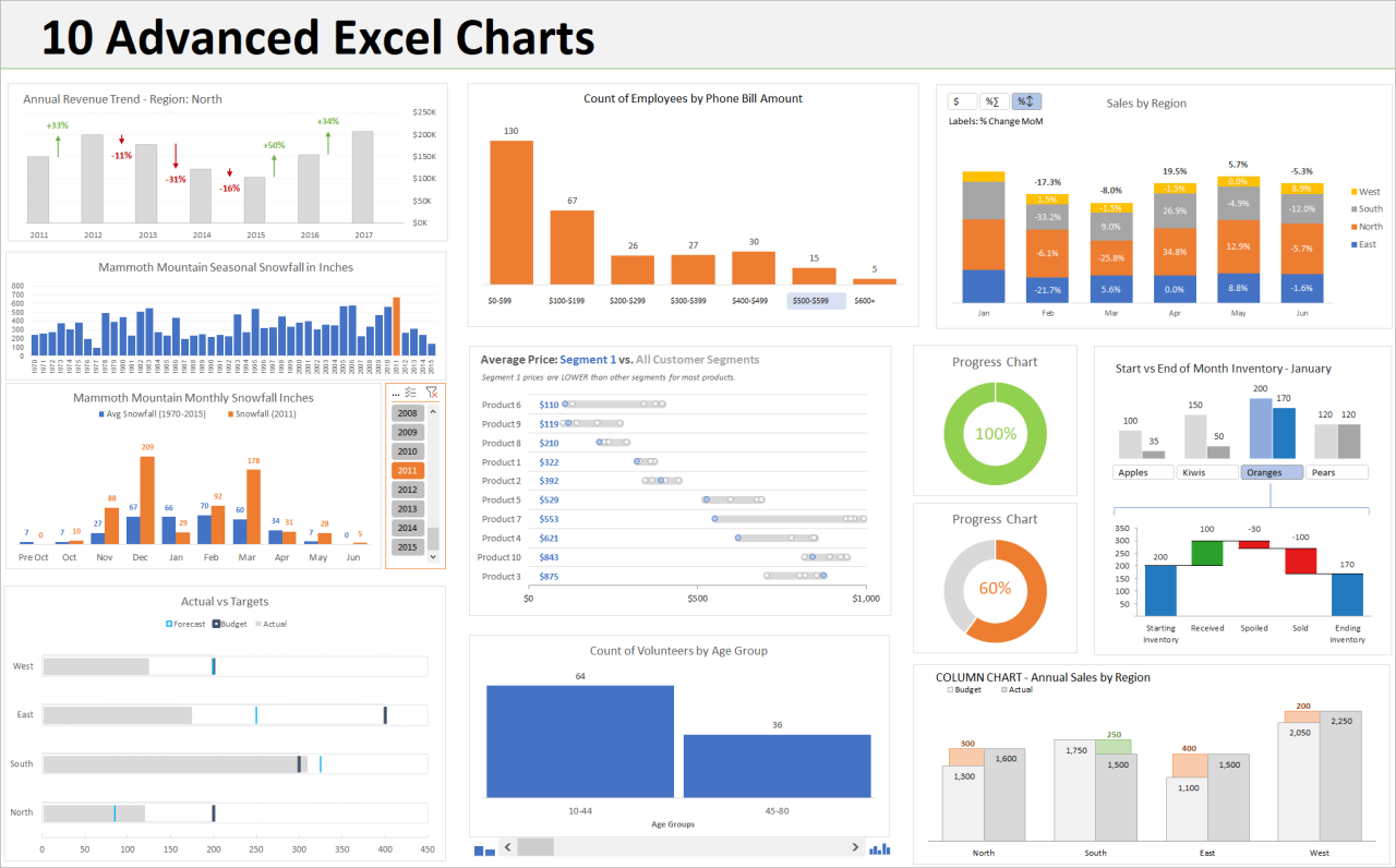 Microsoft Excel: Advanced Chart Customization
