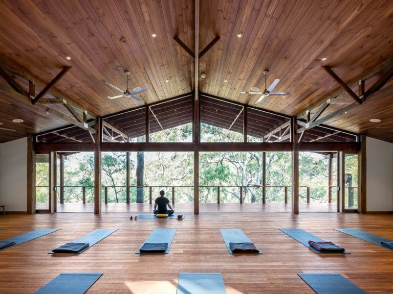 Digital Wellness Retreats