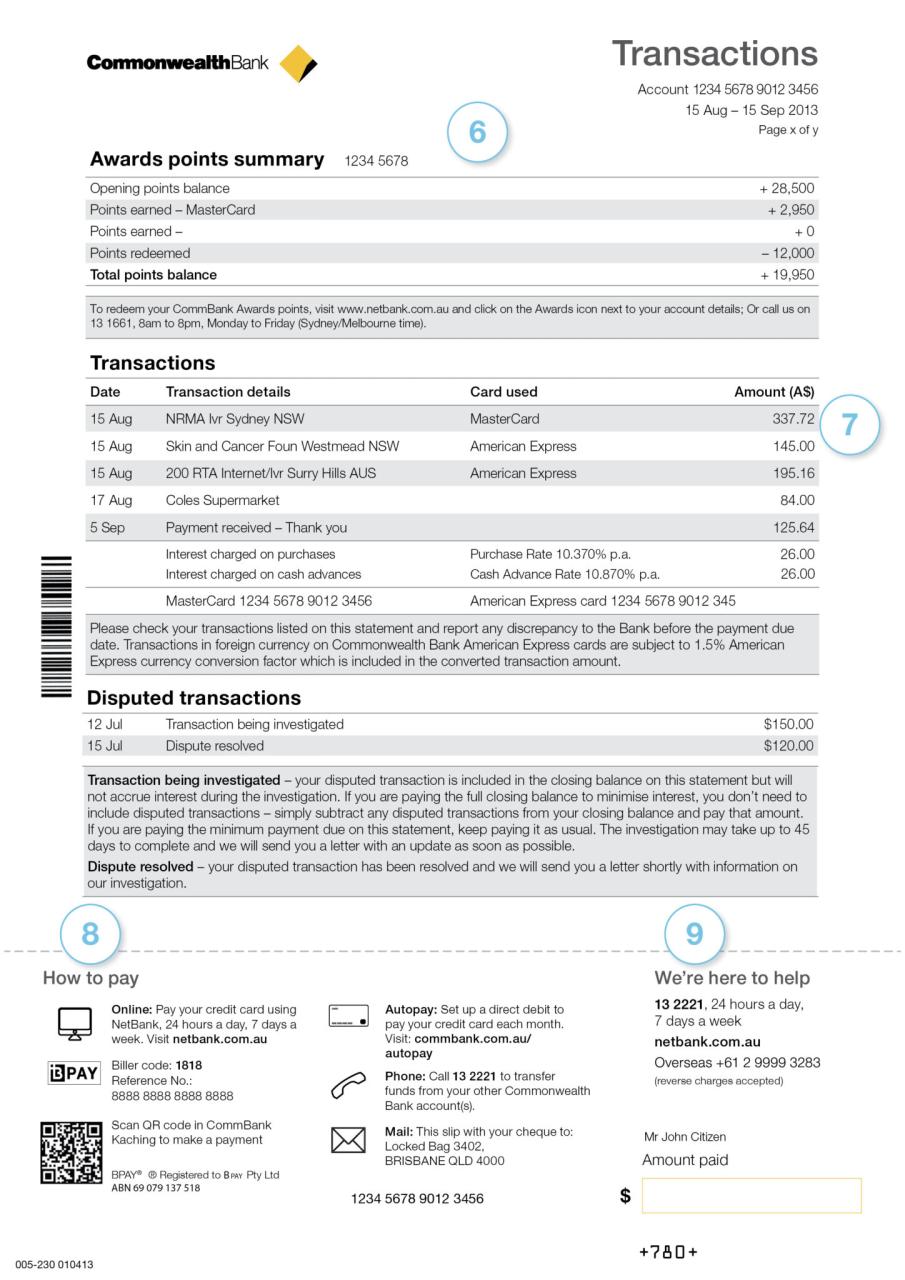 Email phishing for credit card account statement access
